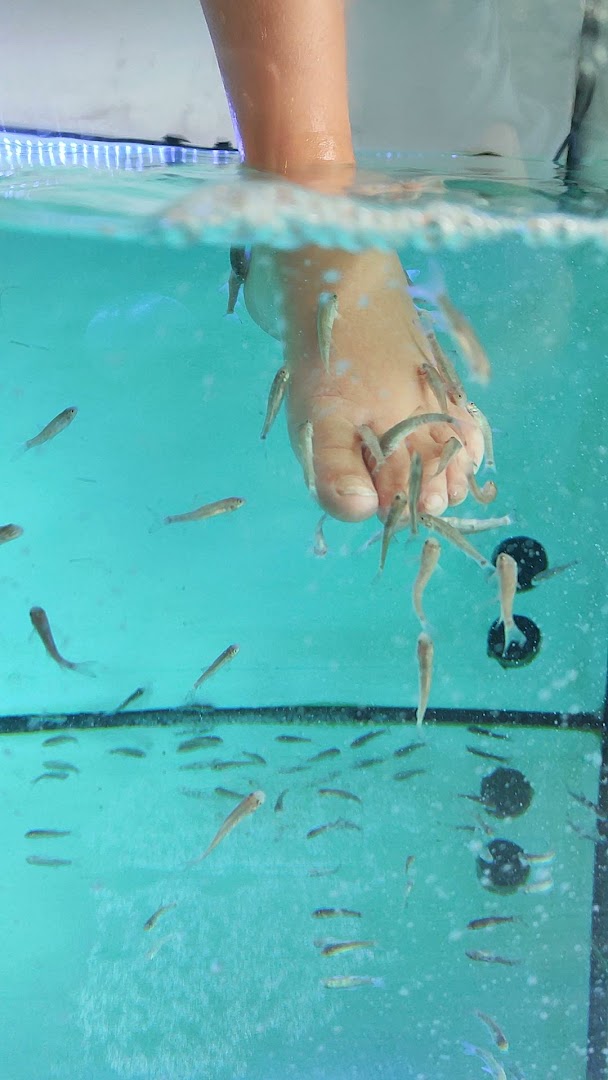 Fish-Spa Mimizan Plage · Photos 2